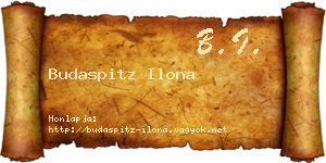 Budaspitz Ilona névjegykártya